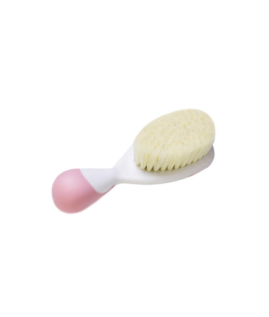 Product Details Euler's Spinning Disk