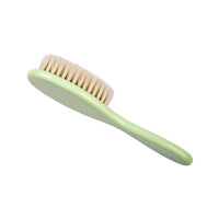 Product Details Euler's Spinning Disk