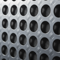 Guinea Pig Treat-Ball Toy - Interactive Feeder