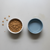 Feeding Station - Dual Bowl Stand (Elevated)