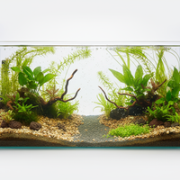 Premium Glass Aquarium (20-30L) - Rimless