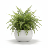 Fern Green Bowl