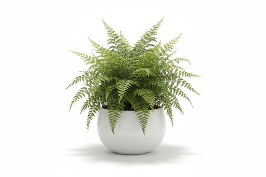 Fern Green Bowl