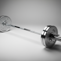 Olympic Barbell 20kg