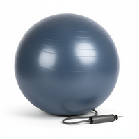 Gym Exercise Ball