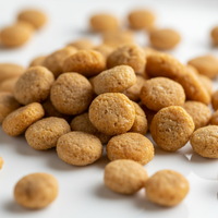 Chicken & Rice Crunch Kibble - Dog Food