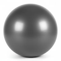 Gym Exercise Ball
