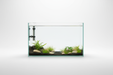 Premium Glass Aquarium (20-30L) - Rimless