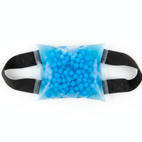 Reusable Ice Therapy Pack
