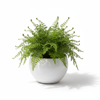 Fern Green Bowl