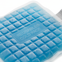 Reusable Ice Therapy Pack