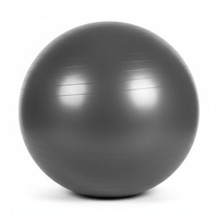 Gym Exercise Ball