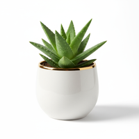 Aloe Luxe Planter