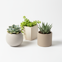 Succulent Trio