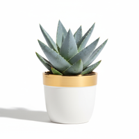 Aloe Luxe Planter