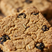 Digestive Probiotic Treats - Cat Supplement