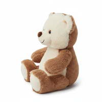 Teddy Bear Side View