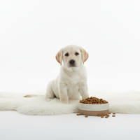 Puppy Growth Formula - Dog Food