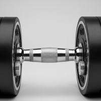 Adjustable Dumbbell Set