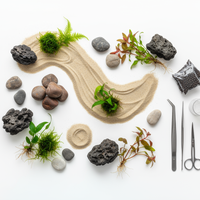 Premium Glass Aquarium (20-30L) - Rimless