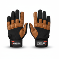 Gym Gloves